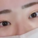 속눈썹 짧은 분 추천 펌 디자인｜슈가엘 경산점 속눈썹펌 후기