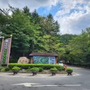 힐링(만인산) 이미지