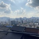 예쁨중DOG 이미지