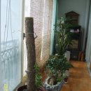 내고향산장 이미지