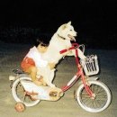 오빠달려