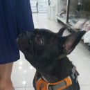 경서동물병원 이미지