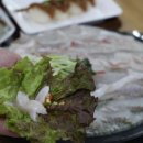 회신물회 네이버블로그