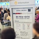 132 | 아시아나 후쿠오카(기내식,체크인,수화물 정보)OZ132 후기!★