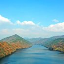 충북 가볼만한 곳, 수생식물학습원 관람 후기 (힐링 산책코스 + 천상의 정원 소개)
