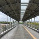 우리들 랜드 | 비오는날 에버랜드 방문 후기