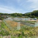 (주)양평수도 네이버블로그