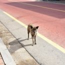 주산반점 - 보령시 만세운동길 35-2 | 주산반점