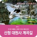 제313차 정기산행 - " 지리산 대원사 계곡길 "좌석(8.6) 이미지