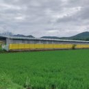 강동로2-4 이미지