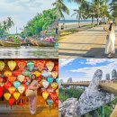 골든카정비 | 다낭 패키지 여행 3박5일 일정 자유여행 코스