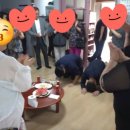 백양 경로당 네이버블로그