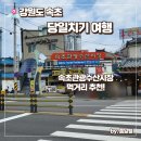속초당일치기여행 2탄 속초관광수산시장(중앙시장) 먹거리 추천 (새우튀김/감자전/닭강정)