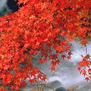 아이컴퓨터 이미지