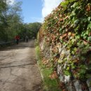 홍계마을 이미지