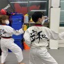 예당경희대태권도장 이미지