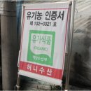 허니수산