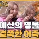 뚝방어죽 - 아산시 | 뚝방어죽