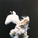 제나할러웨이 워터베이비전 | 군산가볼만한곳 제나할러웨이 워터베이비 전 엔젤 시리즈