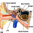 오대가한의원 이미지