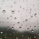 백화산호국의길 이미지