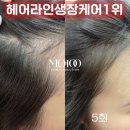 쏙!눈썹