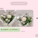 강아지세상 | [창동 꽃집] 도봉구 꽃집 창동역 꽃집 나렌시아 플라워