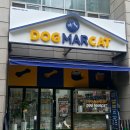 도그마캣신도림거리공원점