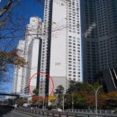 센텀중앙로 이미지