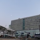 빨라쪼 이대목동병원점 쫀득 젤라또 맛있다~~