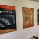 조가네갑오징어대구팔공산점 네이버블로그