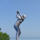 드라이버독 이미지