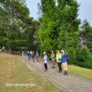 08Mar25 Bush Walking: Chesea Sugar Factory. 100Colonial Road Birkenhead 이미지