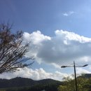 대나무생태원 화장실 이미지