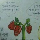 평화PC방 이미지