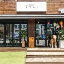 PHO1903 네이버블로그
