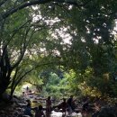 하늘계곡캠핑장 이미지