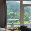 퍼피게스트하우스 이미지