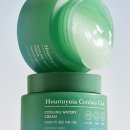 쿨링 여름수분크림 이미지