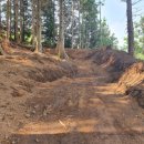 잔듸민박 이미지