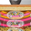 원케어메디칼 이미지