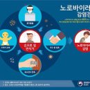 굴 노로바이러스 전염 원인 식중독 이미지