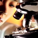 로케트 밧데리 이미지