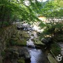 석남사 - 1101 | 석남사