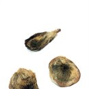 익수약국 이미지