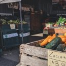 육식인생 이미지