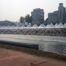 흥진농원