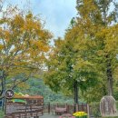 주정차단속-109 이미지