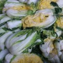 추광농장 이미지