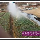상초농장